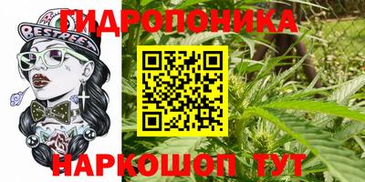 apvp Будённовск