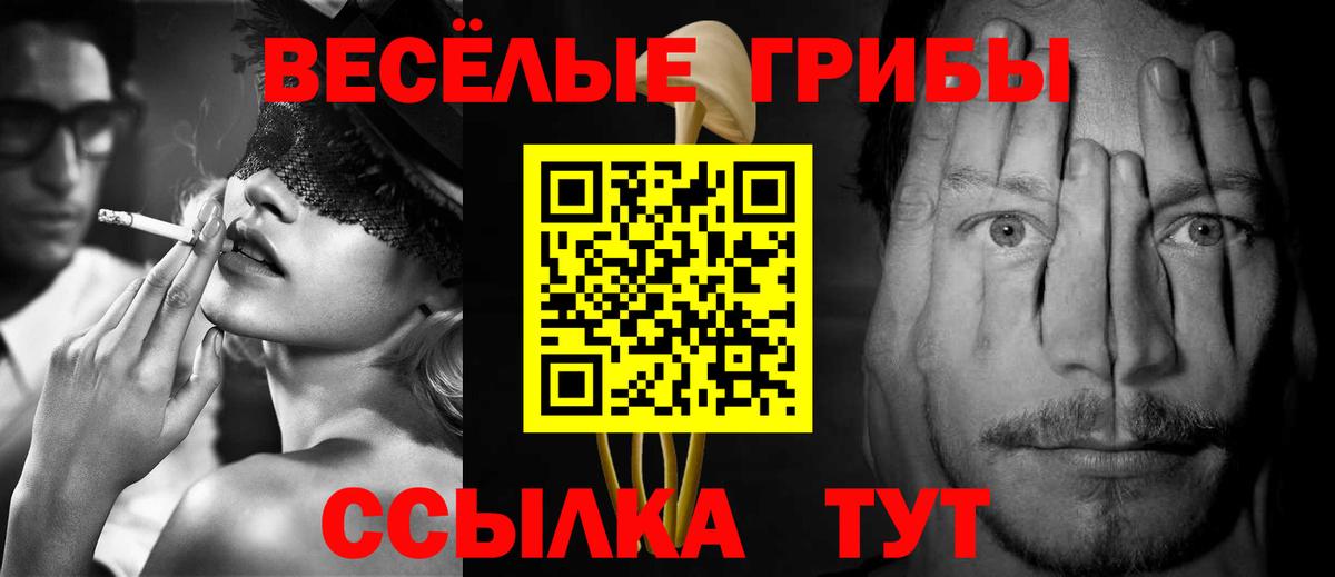 Новороссийск  Псилоцибиновые грибы GOLDEN TEACHER  Вход с VPN  Галлюциногенные грибы Cubensis 